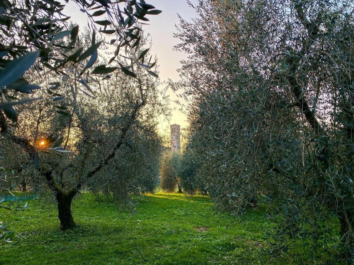 All'Antica Scuderia Del Castello Maiano  Exteriér fotografie